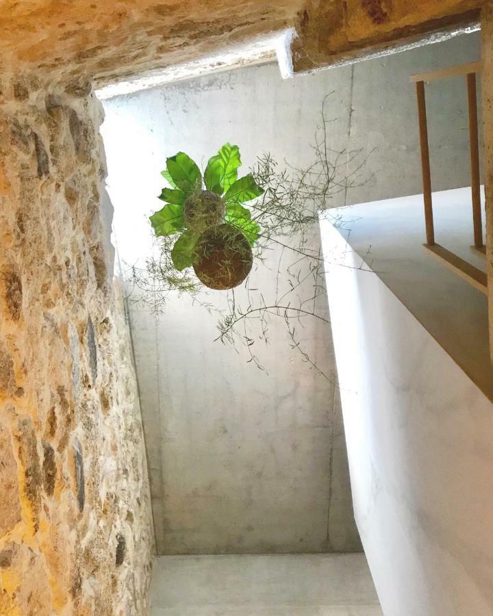 Element Daire Viseu Dış mekan fotoğraf